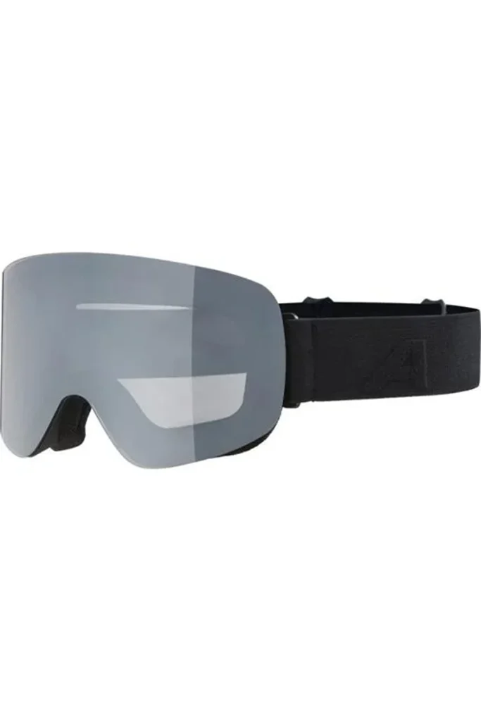 OČALA ALPINA PENKEN black
