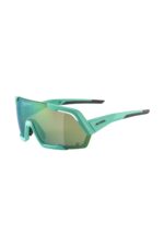 ALPINA OČALA ROCKET turquoise Q-LITE green