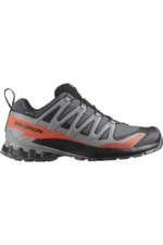 SALOMON XA PRO 3D V9 GTX Turbulence / Black / Burnt Ochre L47817500