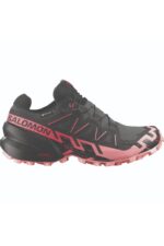 SALOMON SPEEDCROSS 6 GTX W Nine Iron / Black L47880400